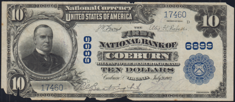 This image features an 1902 $10 Virginia National Banknote.