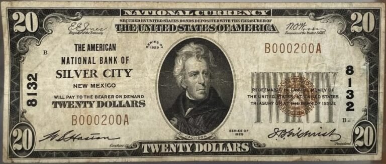 This image features an 1929 $20 New Mexico National Banknote.